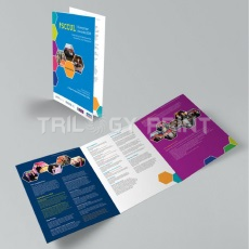Long Brochure