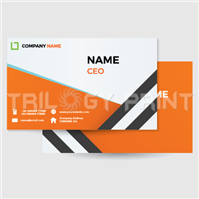 Business Card (Standard) 
