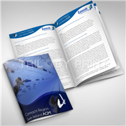 Booklet Staple Bind (Offset)