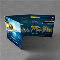Long Brochure