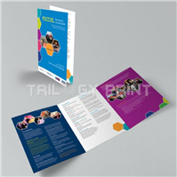 Long Brochure